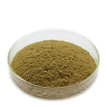 Hot Selling Best Price Organic Chaga Mushroom Extract Powder For Foods Additive